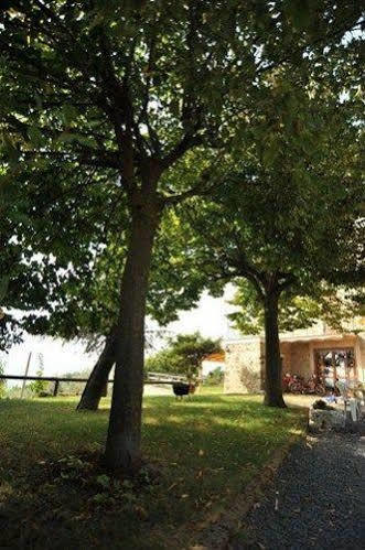 Il Casale Di Mario Villa Montecchio  ภายนอก รูปภาพ